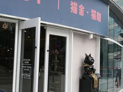 门面-飞行喵MR PILOT|猫舍·猫咖(静安大融城店)