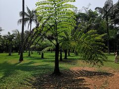 -中国科学院西双版纳热带植物园