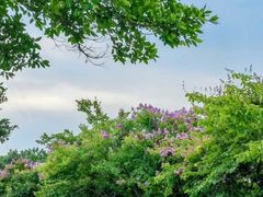 -露天矿生态公园