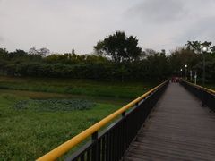 -禧和源养生素食茶馆