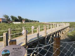 -北海金海湾红树林生态旅游区