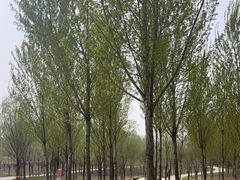 -东郊湿地公园