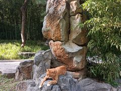 -皇家御河游(紫御湾码头)