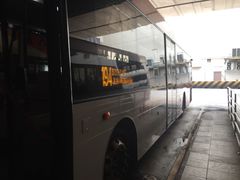 -新加坡飞禽公园