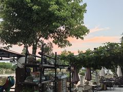 -水岸居湖景农家乐·阳澄湖大闸蟹