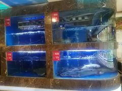 水产区-巴特餐饮6加1音乐餐吧·新疆菜