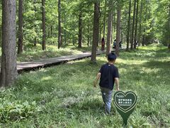 -黄海国家森林公园