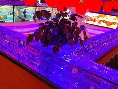 -山河屯铁锅炖鲜鹅·东北菜(开发区一店)