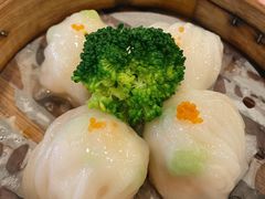 -金龙寨(龙城路店)