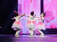 -红舞鞋舞蹈教育(近江校区)