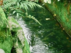 -墨池公园