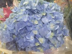 -AEON永旺(东方宝泰店)