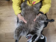 -藦茜花园宠物主题亲子互动体验馆(国顺东路店)