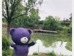-大塘金香草谷