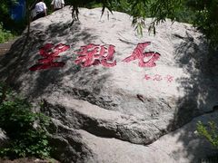 -王顺山国家森林公园