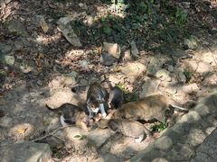 -珞珈山-售票处