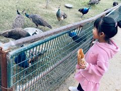 -宿豫区运河湾森林动物园