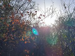 -北京西山国家森林公园