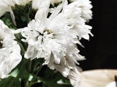 -VOYAGE COFFEE(北锣鼓巷店)