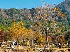 -塔川景区