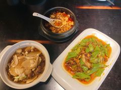回锅肉-陈麻婆豆腐总店