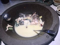 -鲜潭蒸汽石锅鱼(五道口购物中心店)