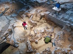 -自贡恐龙博物馆