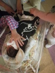 -杭州贝瑞斯美华妇儿医院·早孕·产检·儿科