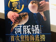 -海底捞火锅(大学路新象城店)
