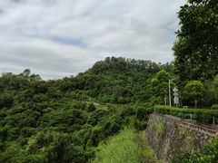-火炉山森林公园