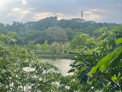 -东莞植物园