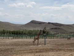 -新疆天山野生动物园