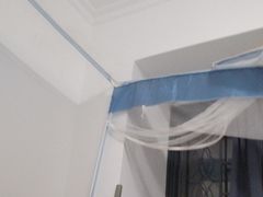 -太手撕鸡