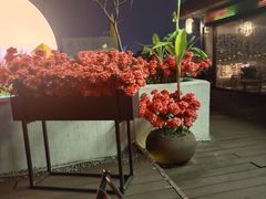 -悦吧·360°全景天台酒吧(象山店)