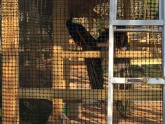 -云南艺术学院(呈贡校区)