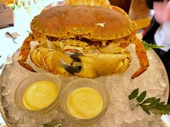 澳洲面包蟹-福楼法餐厅FLO