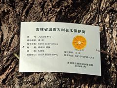 -北山公园