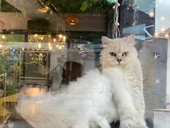 -弓舍射箭俱乐部(高新总店)