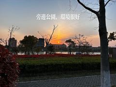 -碧海金沙