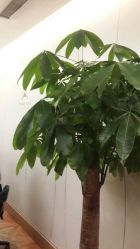 -TIME SPA科技美肤机构