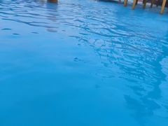 -西安华夏文旅水世界