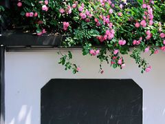 -颐和路民国时期公馆风貌区