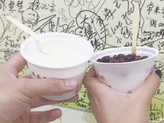 -清真马记宫廷奶酪(农光里店)