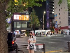 -秋叶原电器街