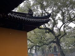 -普陀山风景名胜区-法雨禅寺