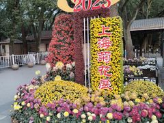 -上海共青森林公园