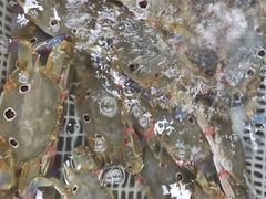 -红月湾海鲜饭店•沙滩海景(双月湾店)