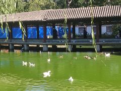 -团结湖公园