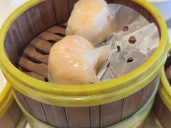 -东方早茶 海鲜•青岛菜(国信体育中心店)
