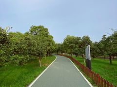 -洨河生态公园